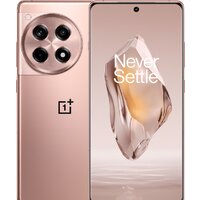 Телефон OnePlus Ace 3 16GB/1TB китайская версия (бронзовый) - фото1 Телефон OnePlus Ace 3 16GB/1TB китайская версия (бронзовый) - фото1