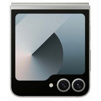 Телефон Samsung Galaxy Z Flip6 SM-F741B 12GB/512GB (серый) и наушники Galaxy Buds3 Pro (серебристый) по акции фото-3