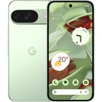 Телефон Google Pixel 9 12GB/128GB (винтергрин) - фото1
