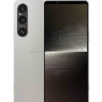 Телефон Sony Xperia 1 V 12GB/256GB (платиновое серебро) - фото1