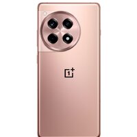 Телефон OnePlus Ace 3 16GB/512GB китайская версия (бронзовый) - фото2