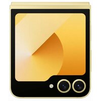 Телефон Samsung Galaxy Z Flip6 SM-F741B 12GB/512GB (желтый) и наушники Galaxy Buds3 Pro (серебристый) по акции фото-3